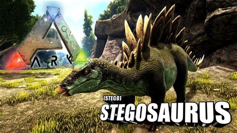 How to tame a stego in ark. Things To Know About How to tame a stego in ark. 