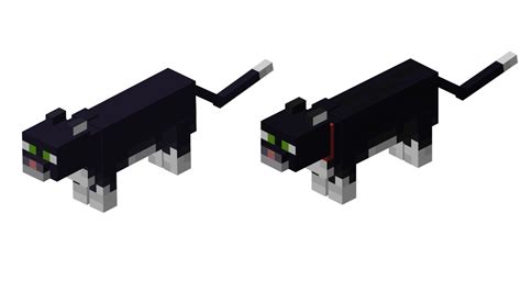 How to tame a stray cat minecraft
