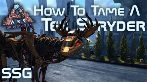 How to tame a tek stryder. The Tek Stryder needs to be hacked once you reach a certain level and then you can tame them with Mutagen. Based on the type of Tek Dino you're trying to tame, you'll need to feed them Mutton ... 