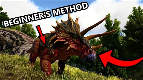 Apr 12, 2023 · To tame a Triceratops in Ark: Survival Evolved, separate it from the herd or find a lone individual. After that, you should start attacking him using any weapon or tranquilizer if your level in the game allows you to do so. You can also create a primitive trap with a few stone pillars or lure Triceratops between trees. . 