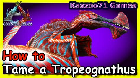 More Tropeognathus Taming & KO Tips. 263 points 🥚 Taming & KO Feb 19, 2023 Report. you can easily tame it like this: find a tropeo and bola it (normal bolas) then place 3 dino gateways like a triangle around it, put 4 stone pillars on top of eachother next to the centre of the trap and put some ceilings on them (4 ceilings should be enough .... 