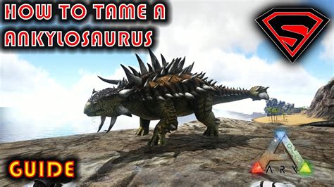 How to tame ankylo ark. How to Tame Ankylosaurus? An Ankylosaurus can easily be tamed by shooting at it and running away or more preferably side stepping which allows you to move at a moderate speed while it chases you. You … 