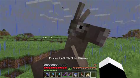 How to tame donkeys in minecraft