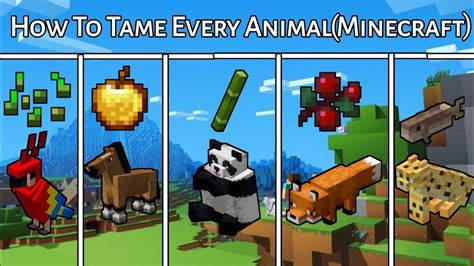 How to tame every animal in minecraft