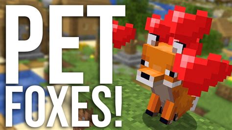 How to tame foxes in minecraft