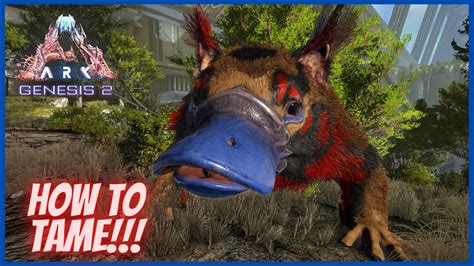 How to tame maewing. Hey fellow Survivors! Today in Maewing Location And Taming | Ark: Lost Island Guide we show you where you can find these amazing creatures, as well as give ... 