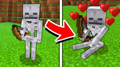 How to tame skeleton in minecraft