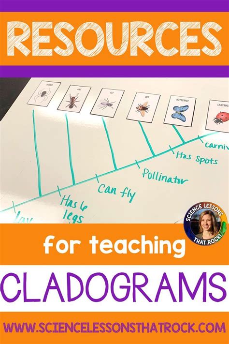 How to teach cladograms.  Learn more.  TEACH definition: 1.  Learn if teachin...