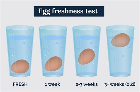How to tell an egg is fresh