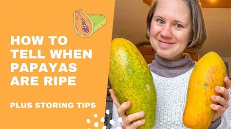 How to tell if a papaya is ripe. Things To Know About How to tell if a papaya is ripe. 