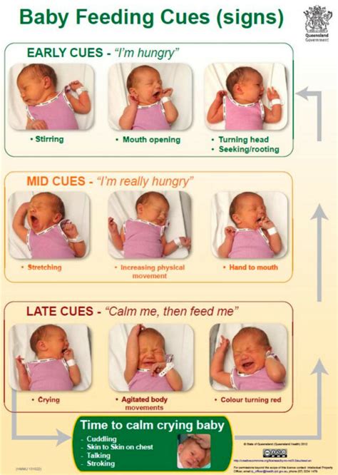 How to tell when newborn is hungry