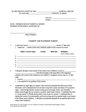 How to terminate parental rights in ga