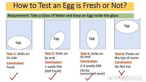 How to test egg is fresh