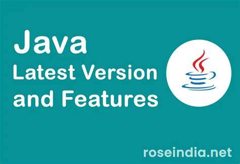 How to test video on laptop.  The latest version(s) of Java on your syste...