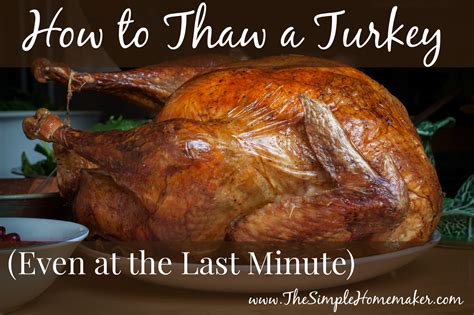 How to thaw your turkey at the last minute