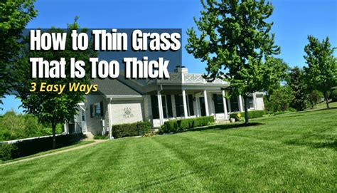 How to thin out grass that is *way* too thick? - Lawn Mower Forum