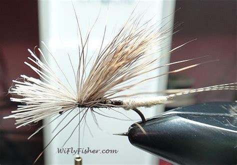 How to tie Hexagenia limbata extended body fly pattern