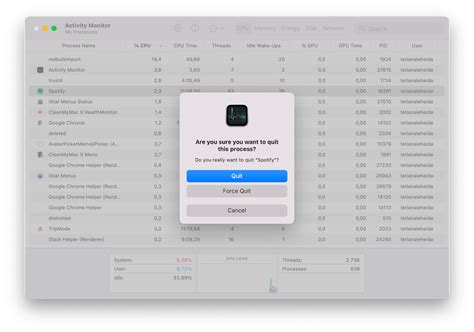 codini.rgarabwor.edu.pl. 