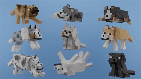 How to train a dog minecraft