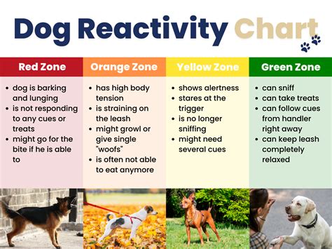 How to train a reactive dog. Things To Know About How to train a reactive dog. 