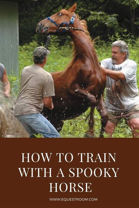 How to train a spooky horse Equesure