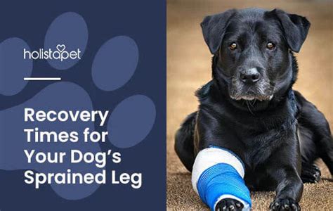 How to treat sprained leg in dog