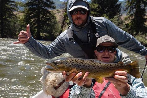 How to trout fish in colorado