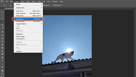 How to unfreeze photoshop without losing work.  Find troubleshooting steps fo...