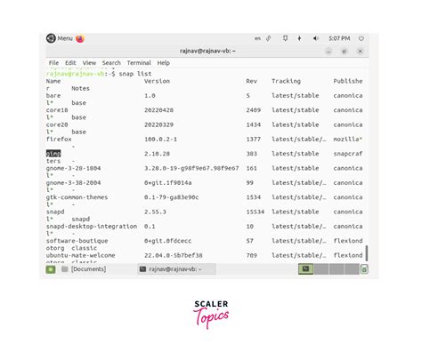 How to uninstall in linux terminal