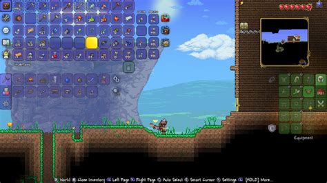 How to unsummon terraria. I show you how to get rid of the dirt that might be in your house 