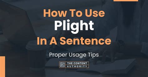 How to use "plight" in a sentence - WordHippo