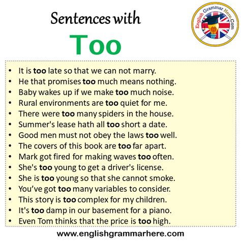 How to use "too" in a sentence - WordHippo