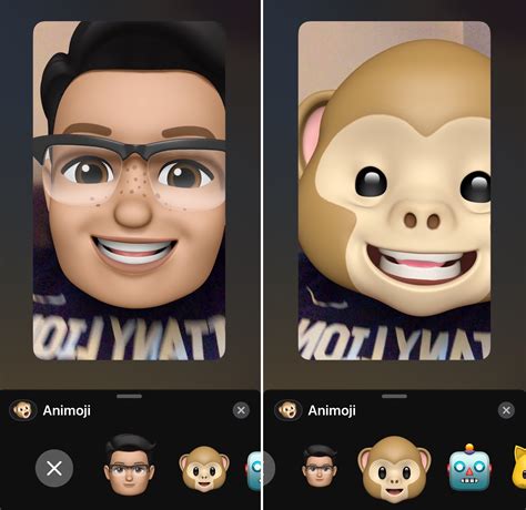 How to use FaceTime camera effects like Animoji and stickers during