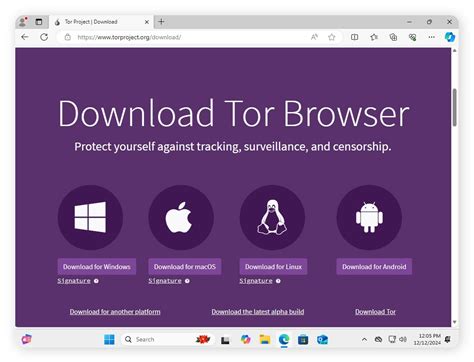 How to use Tor: Benefits and risks explained Norton™.