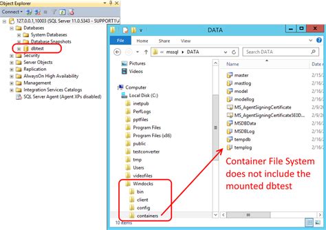 How to use Windows hosted file shares to support SQL Server containers