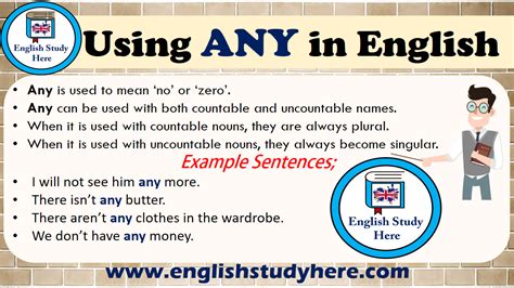 How to use any in a sentence