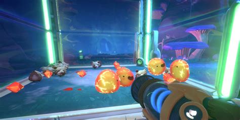 How to use auto feeder in Slime Rancher 2