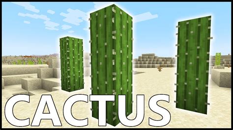 How to use cactus in minecraft