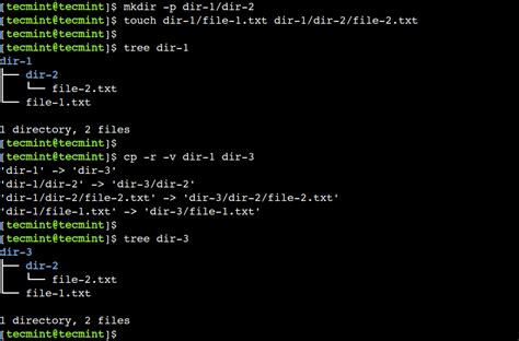 How to use cp command in linux