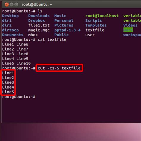 How to use cut in unix