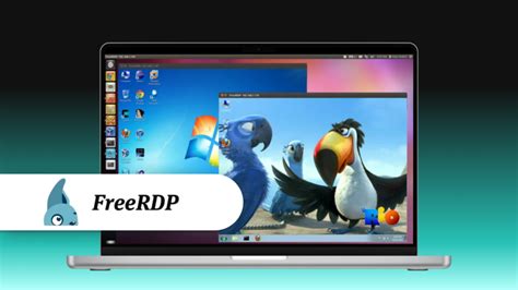How to use freerdp on linux.  It connects to Windows Remote Desktop servers and o...