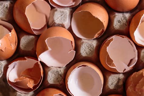 How to use leftover eggshells for your plants and …