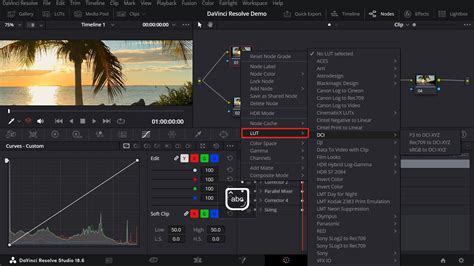 How to use lut generator.  Installing and using LUTs in DaVinci Resolve takes no tim...