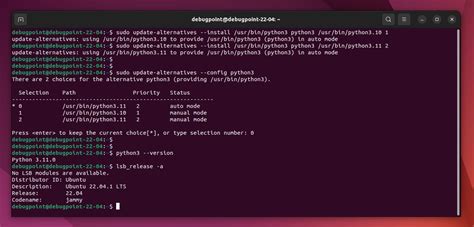 How to use python in ubuntu