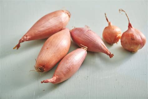 How to use shallots in cooking