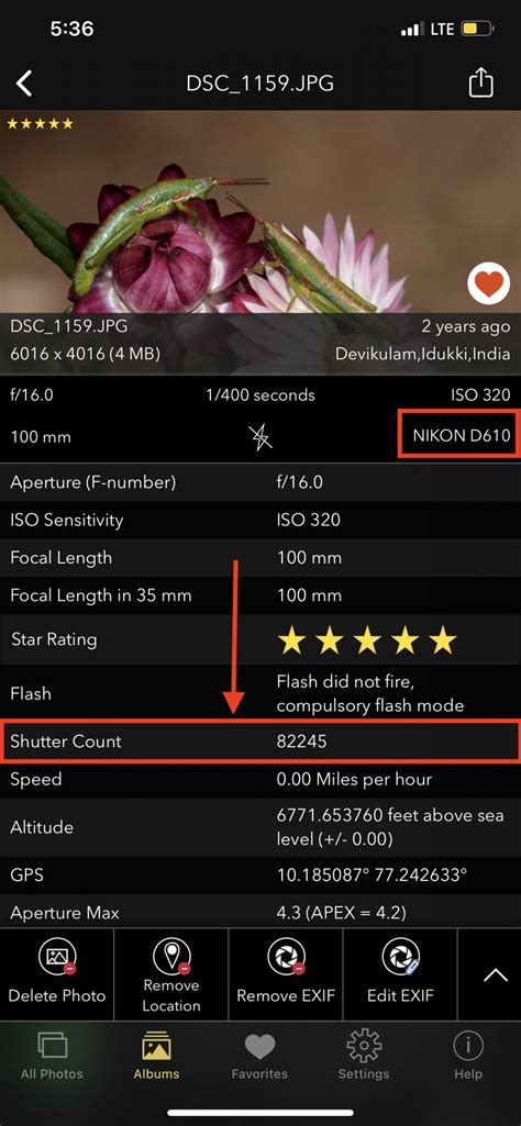 How to use shutter count app. .  <a href=https://academy.lifeprimeti.com.br/assets/i...