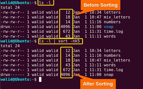How to use sort command in linux