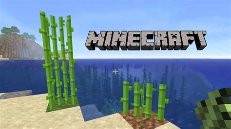 How to use sugar cane in minecraft
