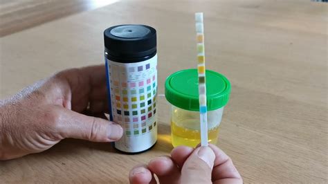 How to use urine test strips 10 parameters YouTube