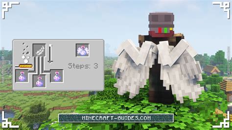 How to use wings minecraft